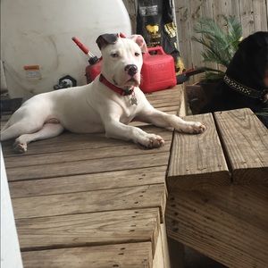 Meet your Posher, Ethan